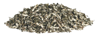 Lumileopardi